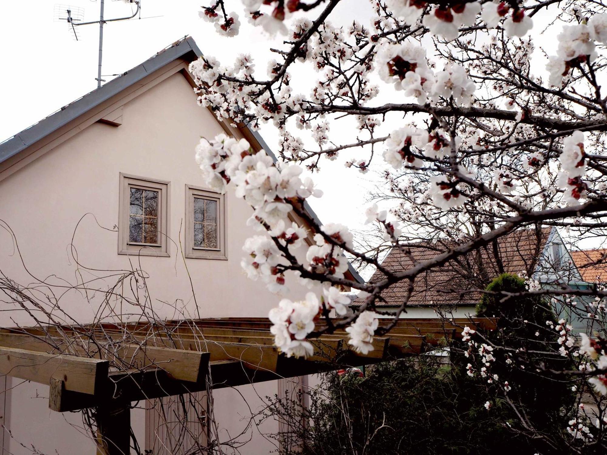 Ubytovani U Krizu Bulhary Exterior photo